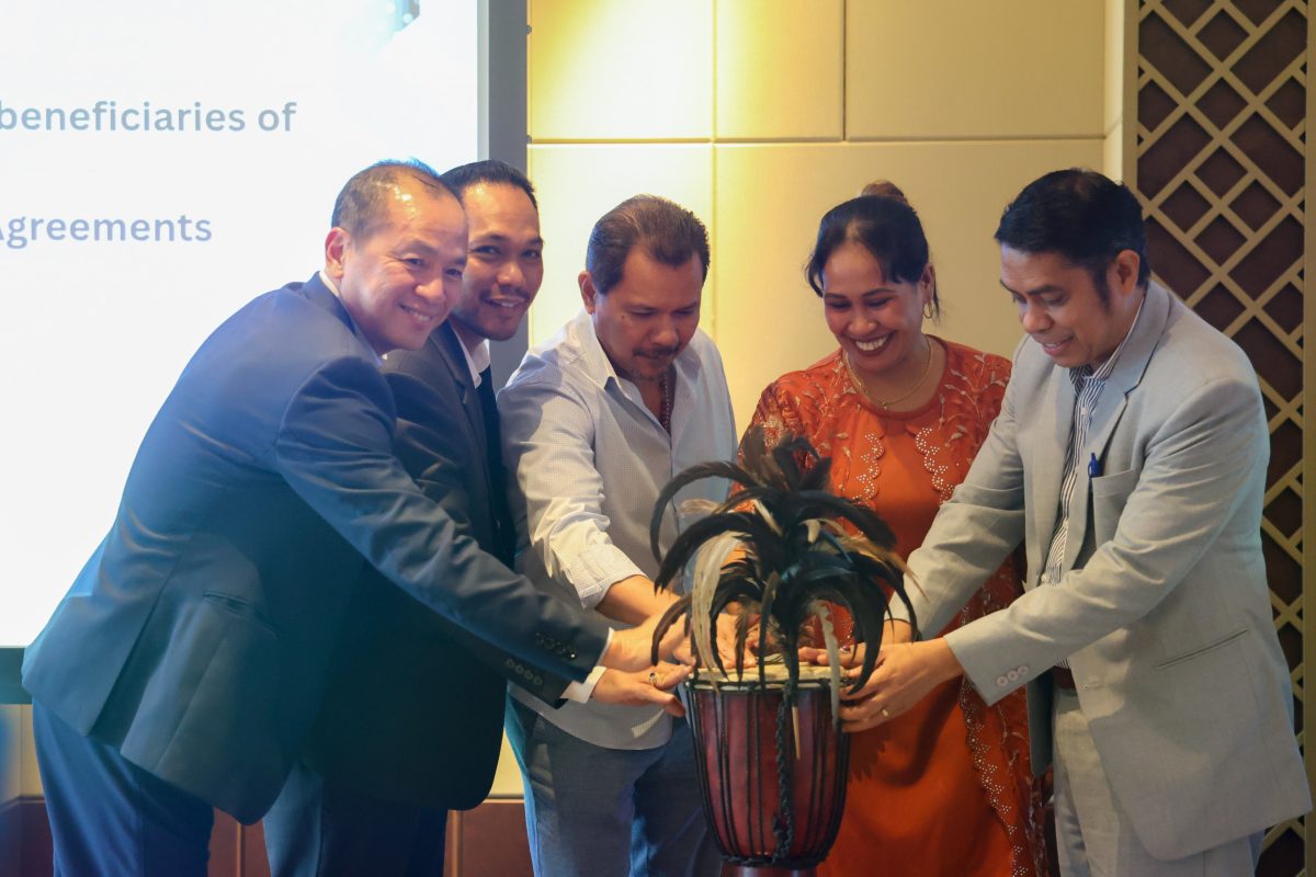 Timor-Leste Haforsa Fasilitasaun Investimentu Hodi Apoiu Kresimentu Setór Privadu