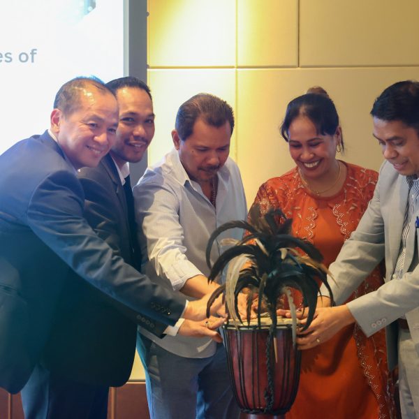 Timor-Leste Haforsa Fasilitasaun Investimentu Hodi Apoiu Kresimentu Setór Privadu