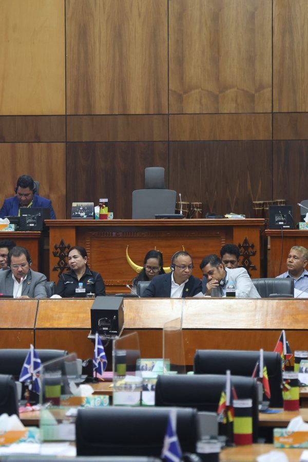 Coordenador-Geral do MCAE Participa em Audiência Pública sobre a Lei&hellip;