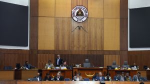 Vise-PM Lidera Delegasaun Governu Audiensia ho Komisaun D