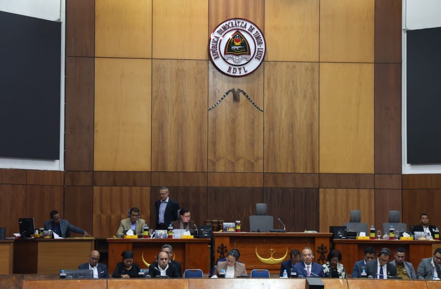 Vise-PM Lidera Delegasaun Governu Audiensia ho Komisaun D